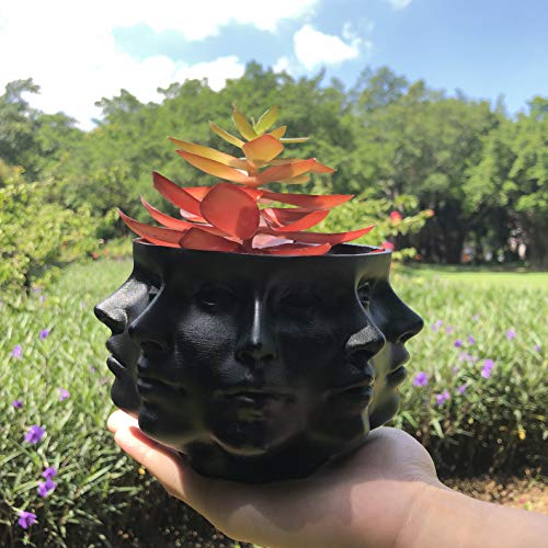 Small Face Planter Vase Indoor Plant Pot L580