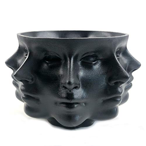 Small Face Planter Vase Indoor Plant Pot L580