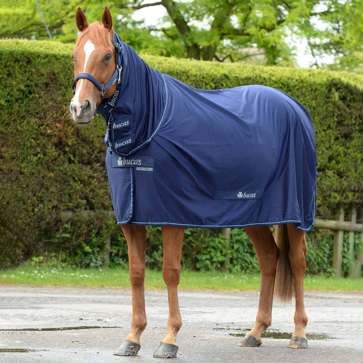Navy Full Neck Cooler G97166