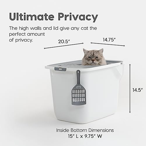 Rectangular Top Entry Cat Litter Box with Scoop, Black/Gray Z619
