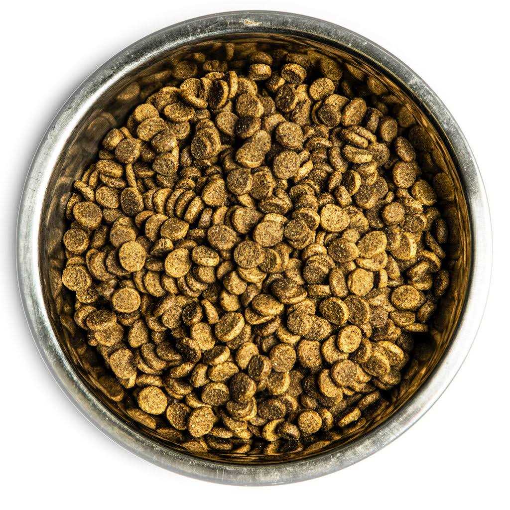 Dry Dog Food X7300