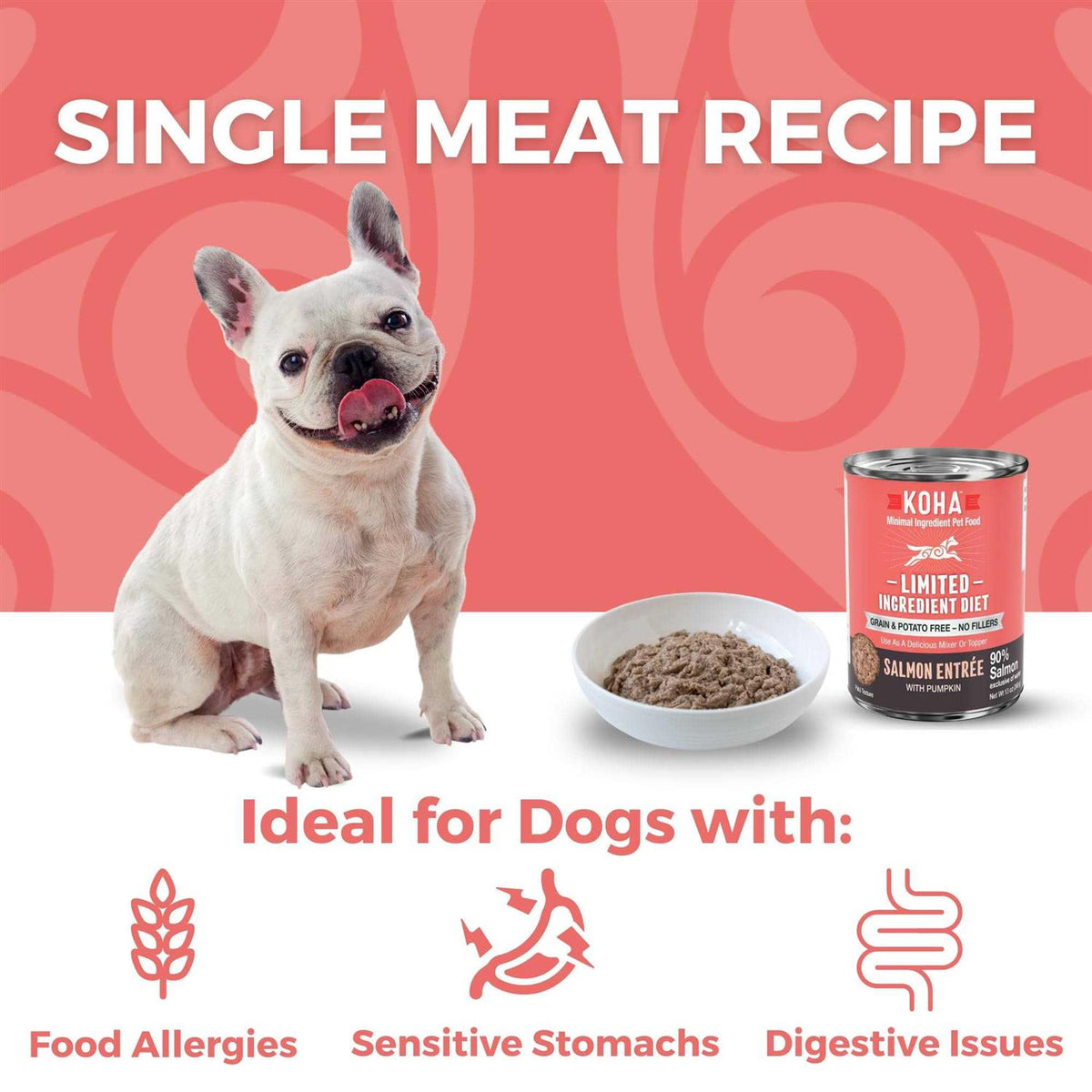 Grain & Potato Free Limited Ingredient Diet Salmon Entree with Pumpkin Canned Dog Food U7265