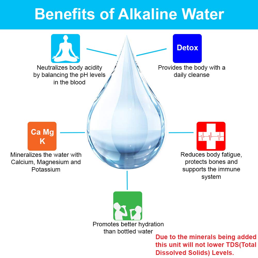 Countertop Carbon Mineral pH Alkaline Water Filter J887059