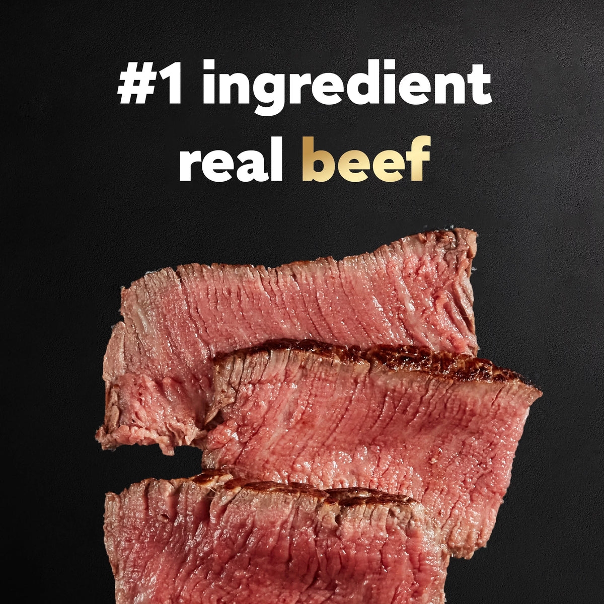 Ribeye Steak Flavor with Vegetables Dog Food, 3.5 oz (24 pk) G889