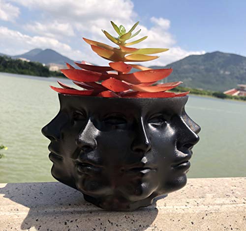 Small Face Planter Vase Indoor Plant Pot L580