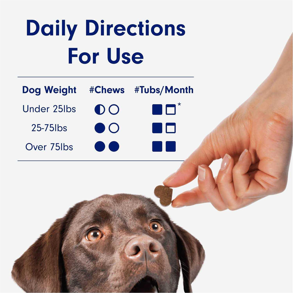 Calming Chews for Dogs B88907