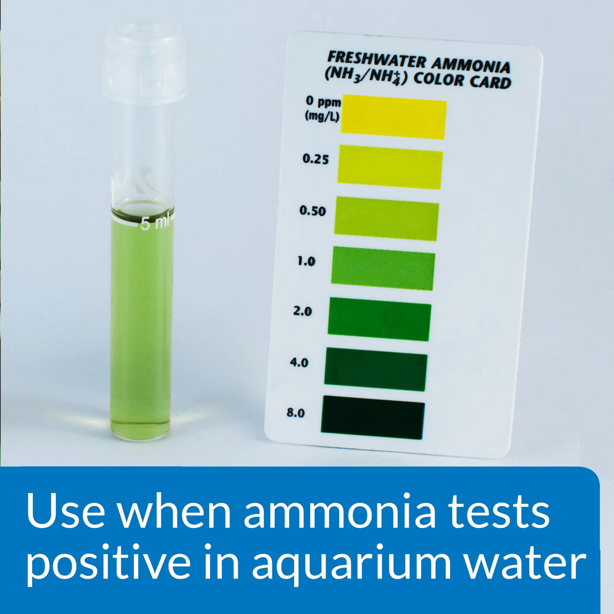 Freshwater And Saltwater Aquarium Ammonia Detoxifier, 16 oz Z52636