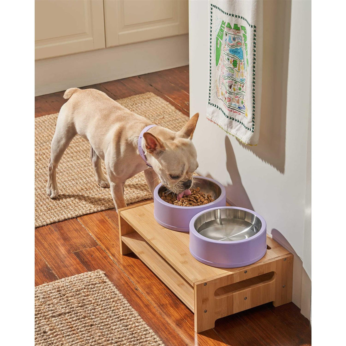 Pet Bowl Q29347