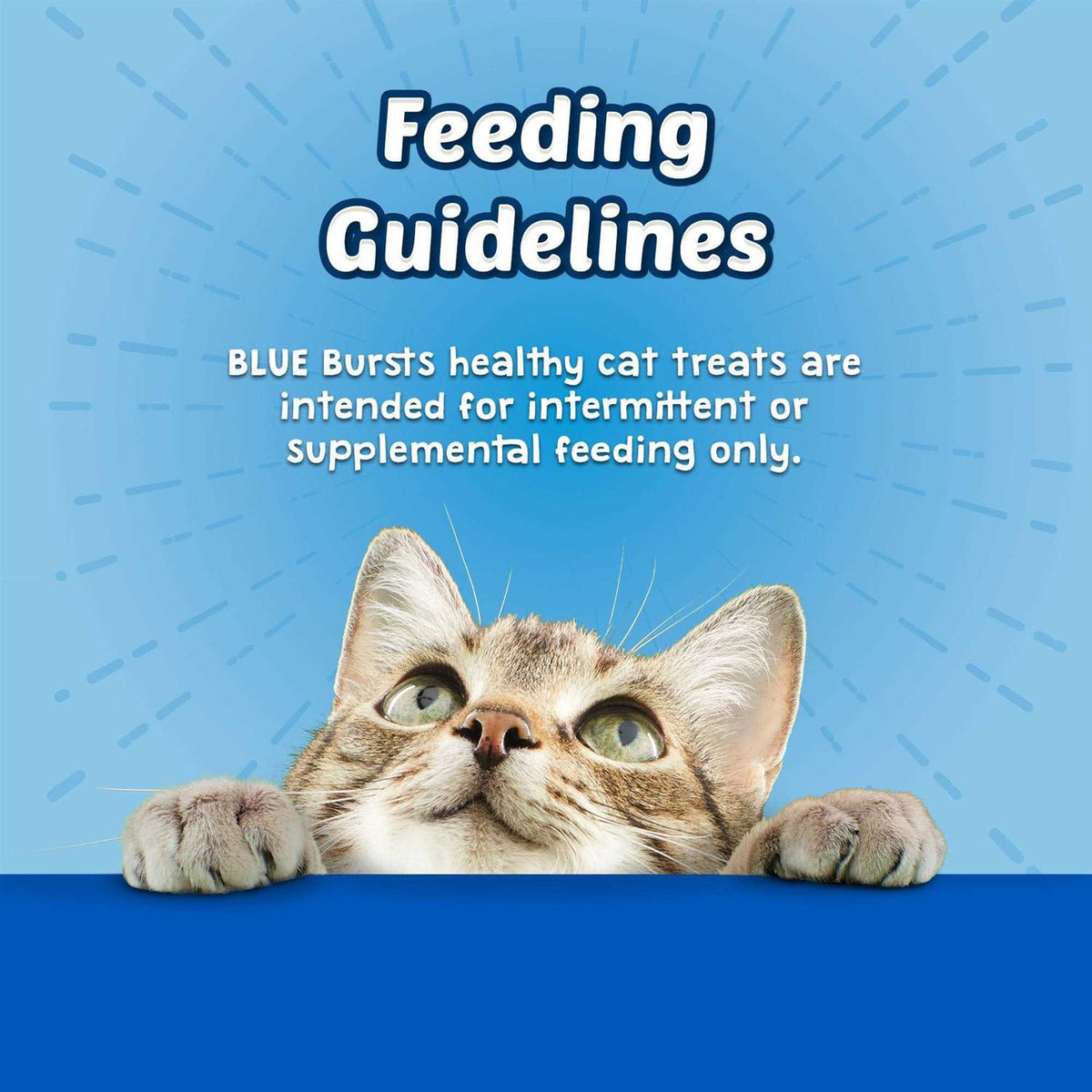 Cat Treats O491