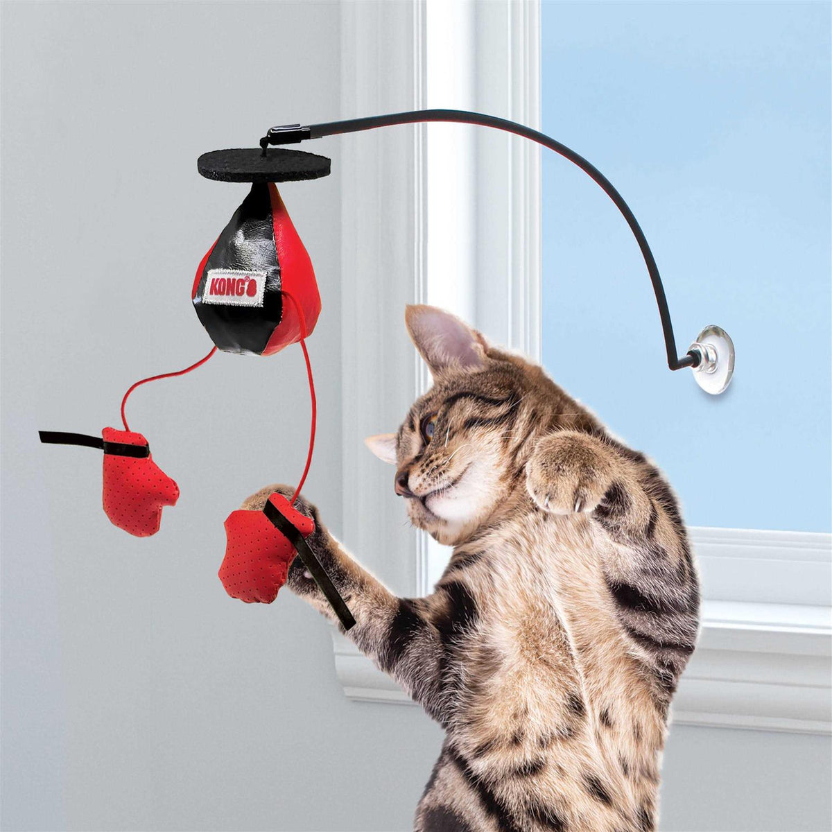 Window Cat Toy I852