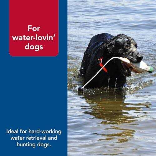 Waterproof Dog Collar F610899
