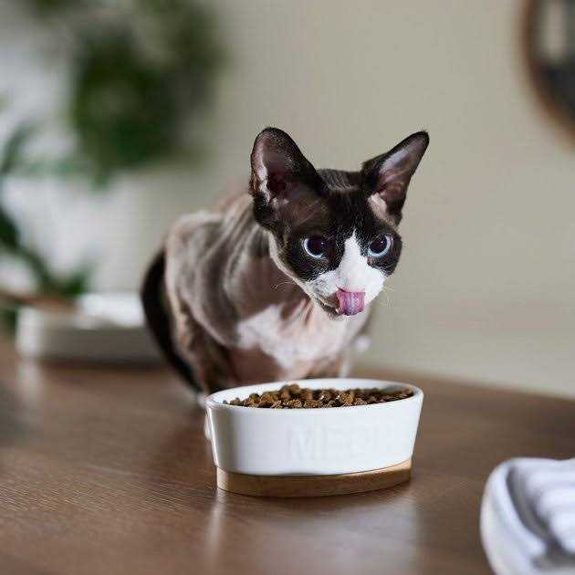 Chicken & Pomegranate Dry Cat Food S114654