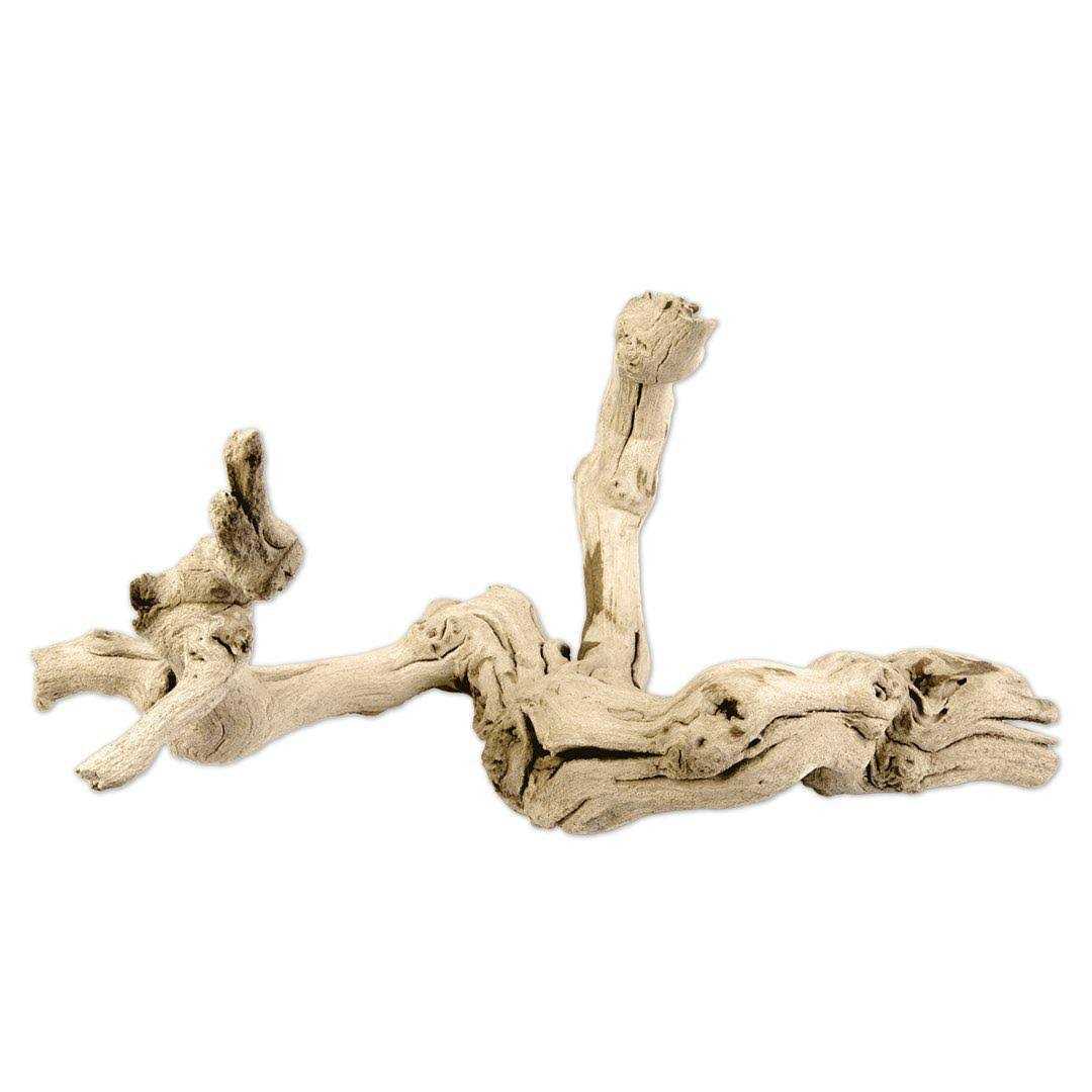 Grapewood Branch Z163591