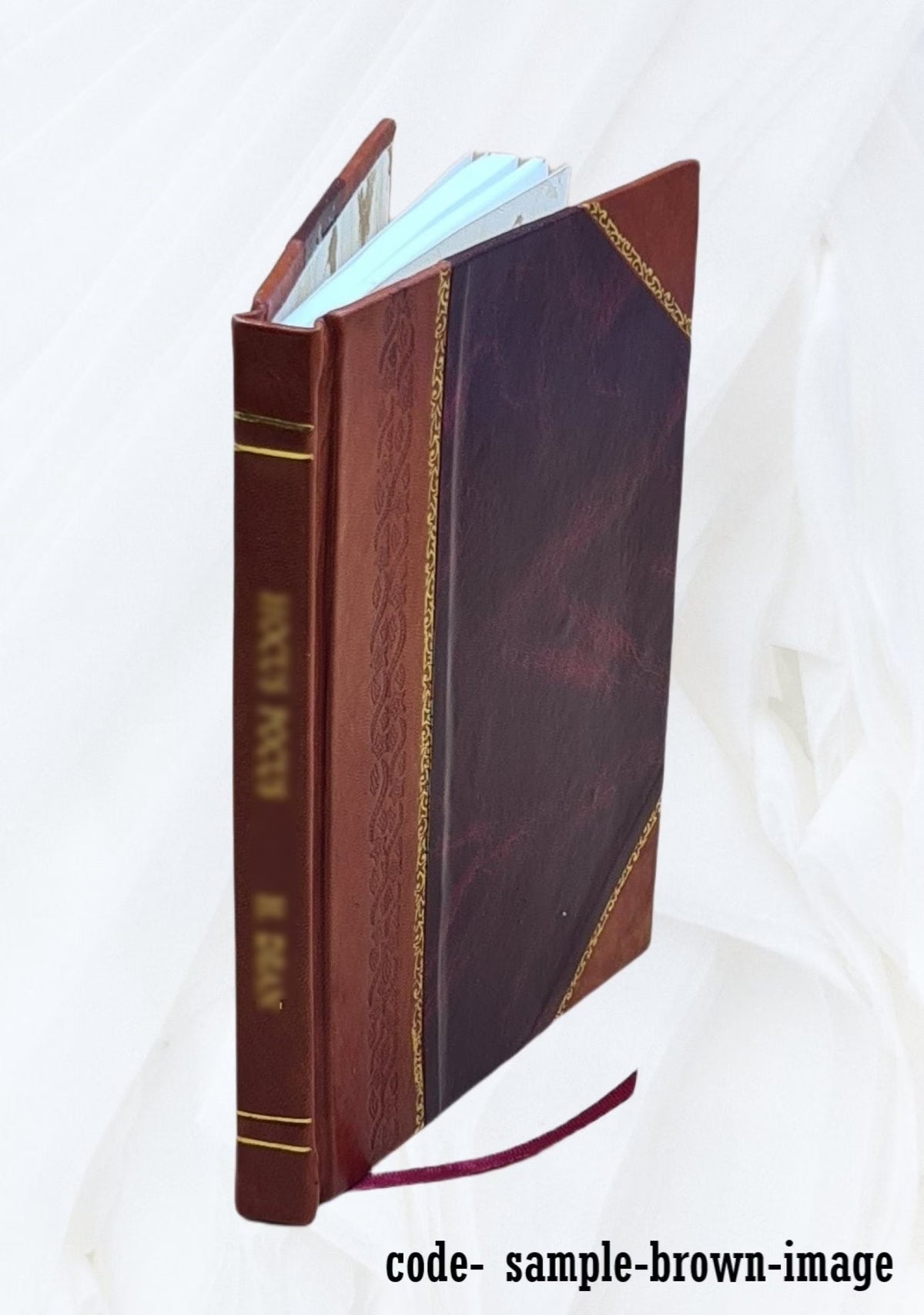 Storrs Agricultural School Annual Report 1896/97 Leather Bound Z6470