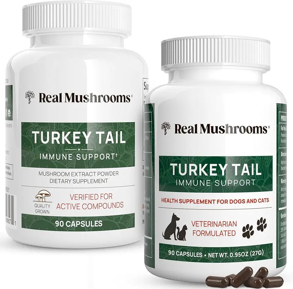 Turkey Tail Mushroom Extract Capsules M8219