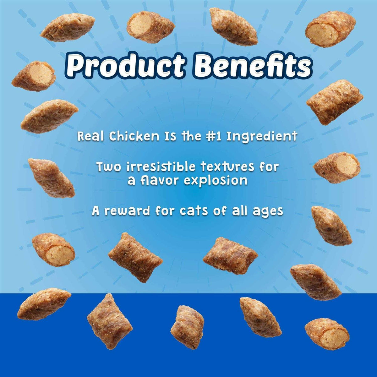 Cat Treats O491