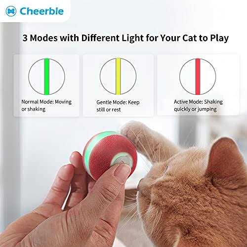 Interactive Cat Toy W218