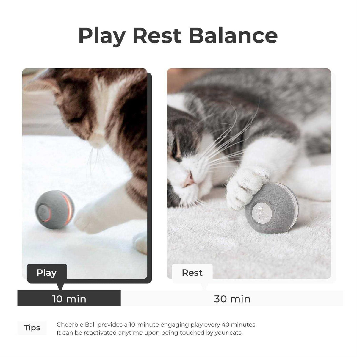 Interactive Cat Toy W218