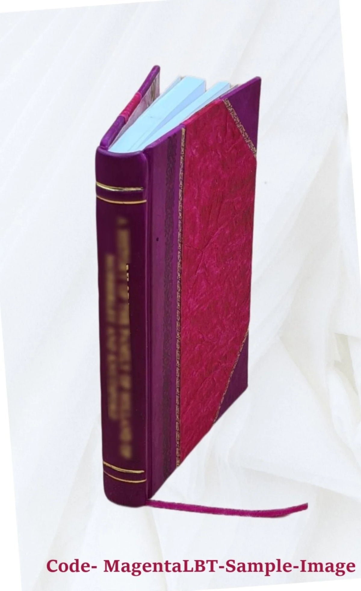 Environmental Impact Statement Leather Bound N3225