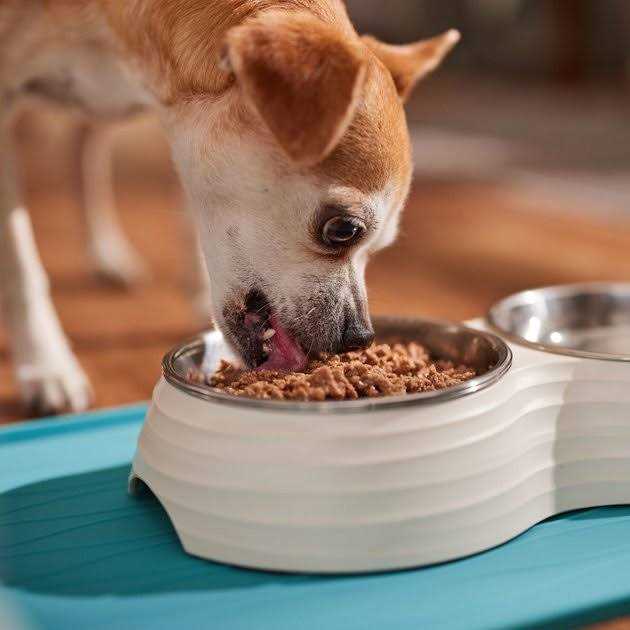 Wet Dog Food N19140