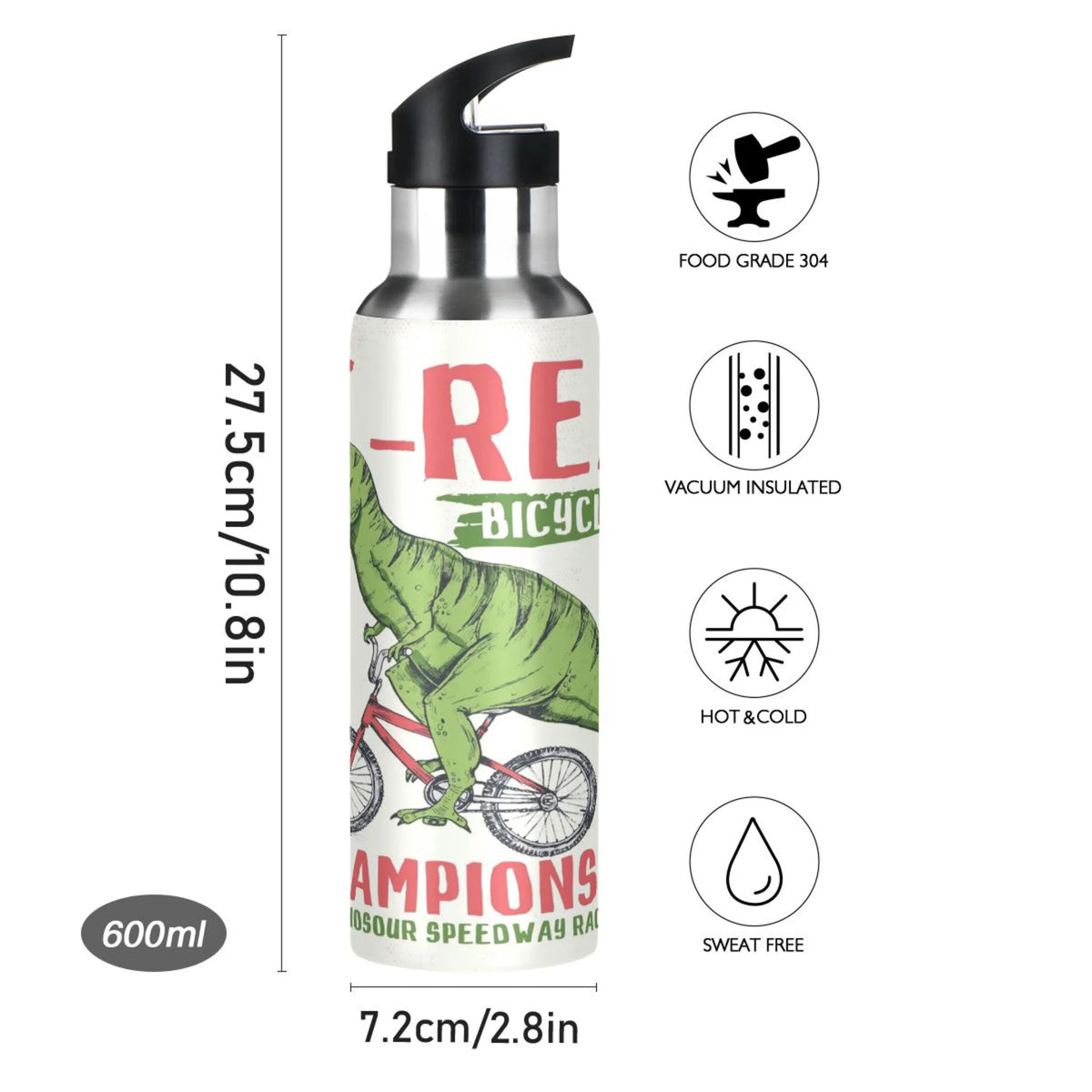 Stainless Steel Vacuum Insulated Water Bottle with Straw Lid, 20 OZ T330277