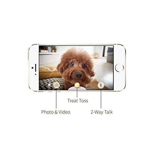 Dog Camera Q23752