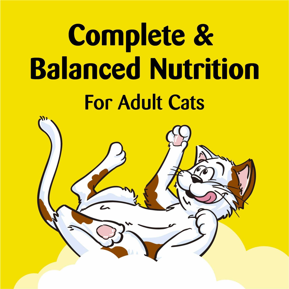 Crunchy and Soft Cat Treats N914391