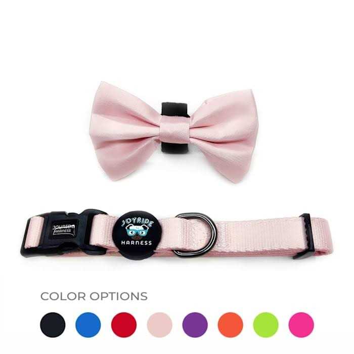 Dog Collar with Removable Bow Tie H593803