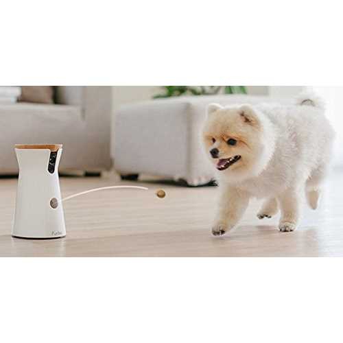 Dog Camera Q23752