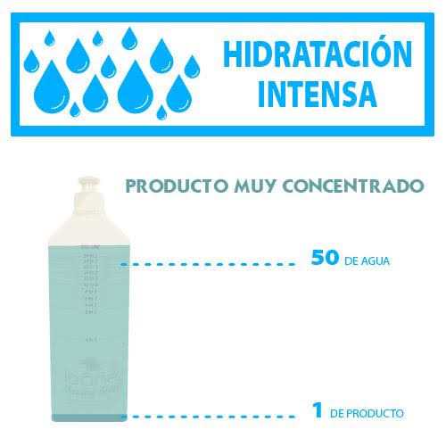 Shampoo V2425