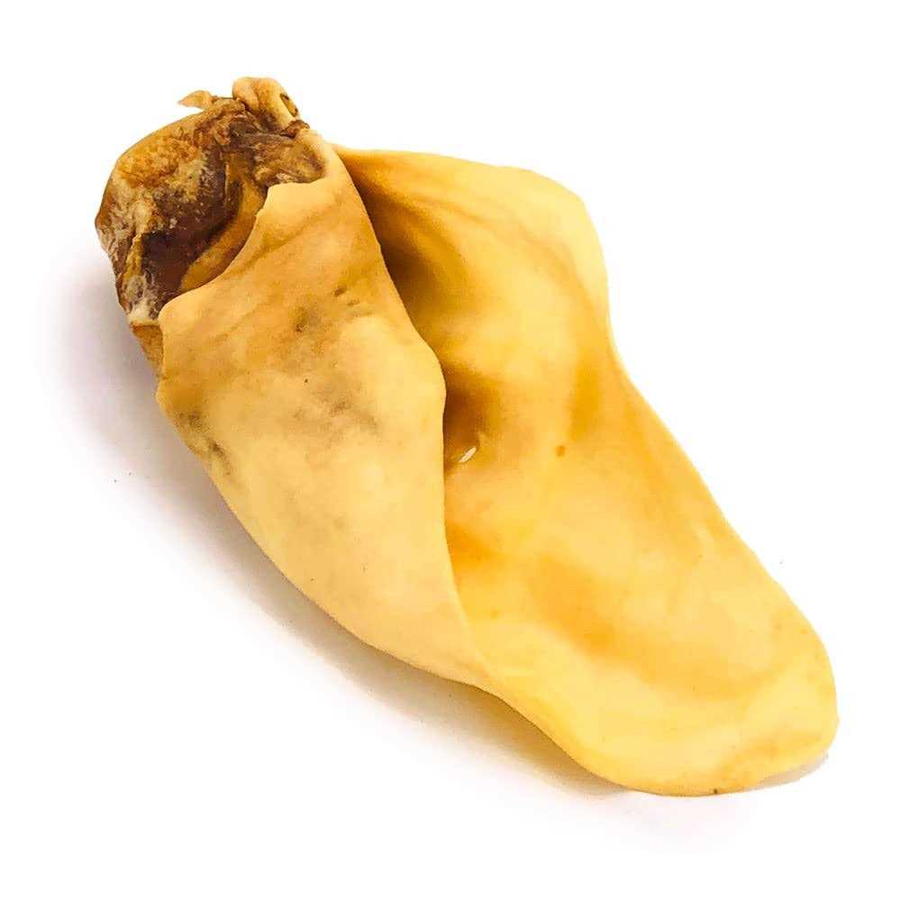Cow Ears O674