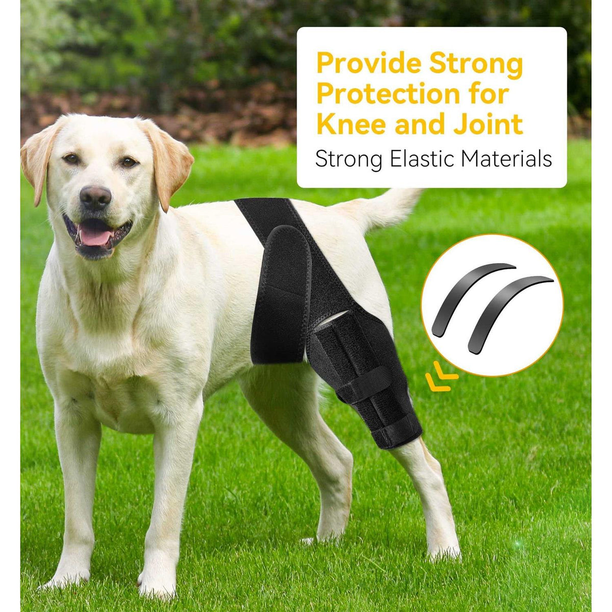 Dog Knee Brace for ACL Cruciate Ligament Injury E700806